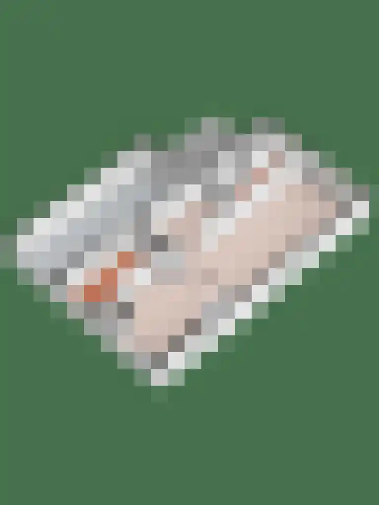 De Meerkoet 23 Vriezenveen thumbnail 50