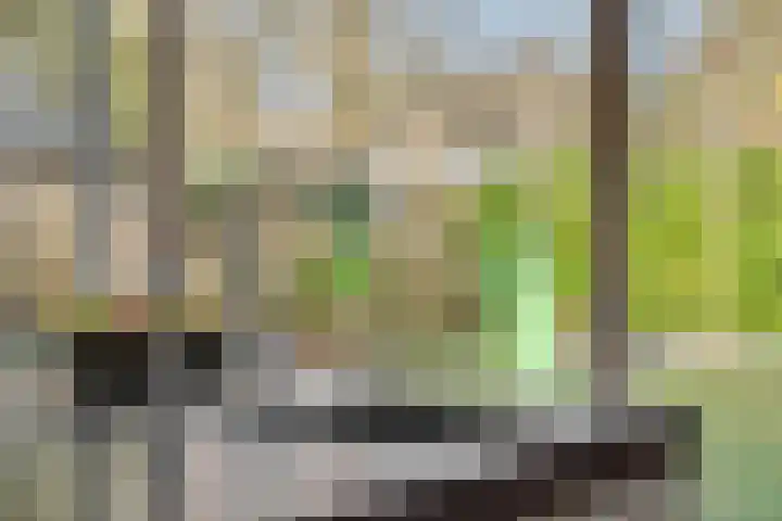 De Meerkoet 4 Sint-Michielsgestel thumbnail 16
