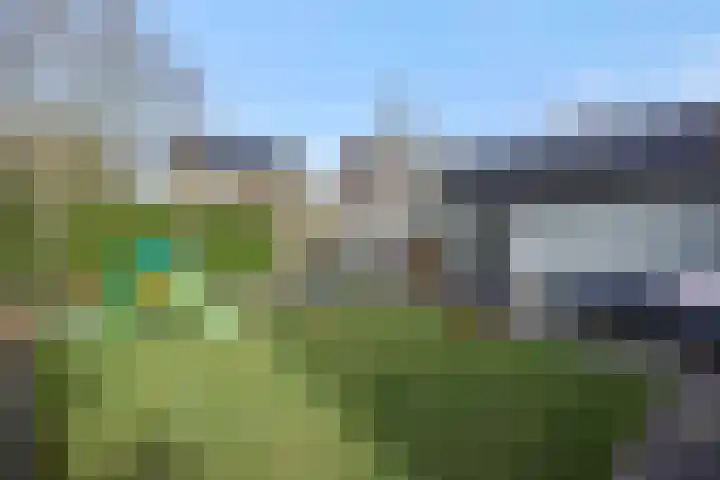 De Meerkoet 4 Sint-Michielsgestel thumbnail 33