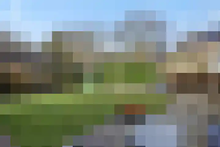 De Meerkoet 4 Sint-Michielsgestel thumbnail 34