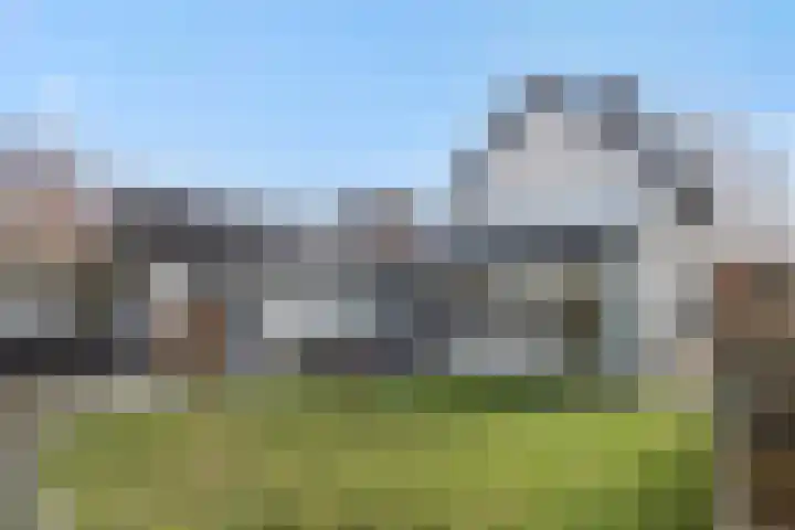 De Meerkoet 4 Sint-Michielsgestel thumbnail 37