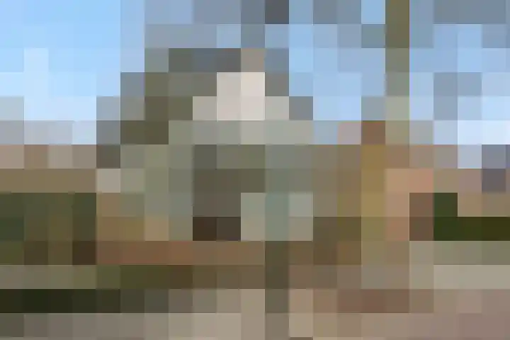 De Meerkoet 4 Sint-Michielsgestel thumbnail 39