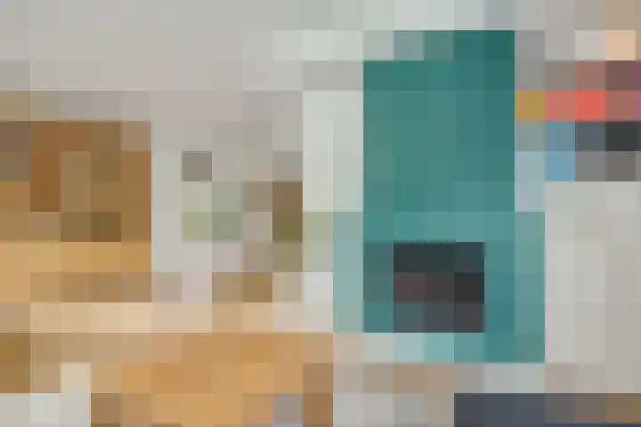 De Meerkoet 4 Sint-Michielsgestel thumbnail 4