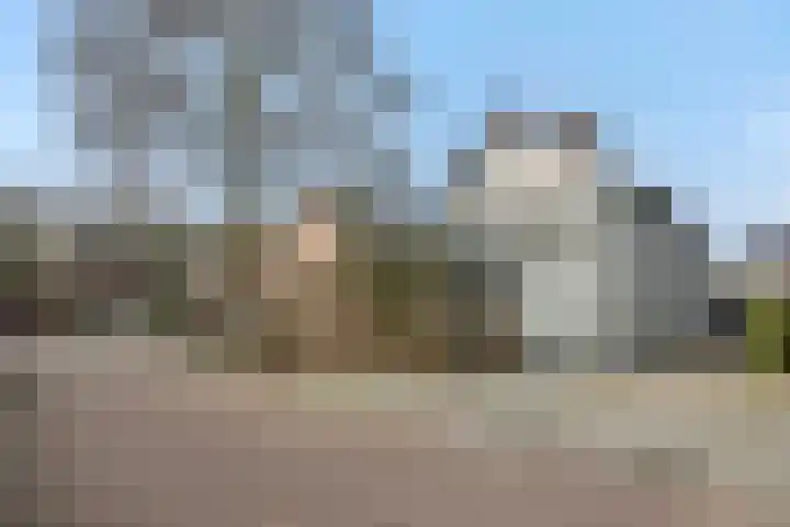 De Meerkoet 4 Sint-Michielsgestel thumbnail 41