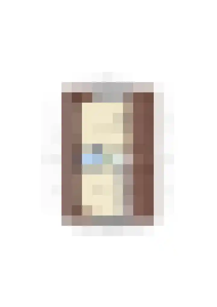 De Meerkoet 4 Sint-Michielsgestel thumbnail 47