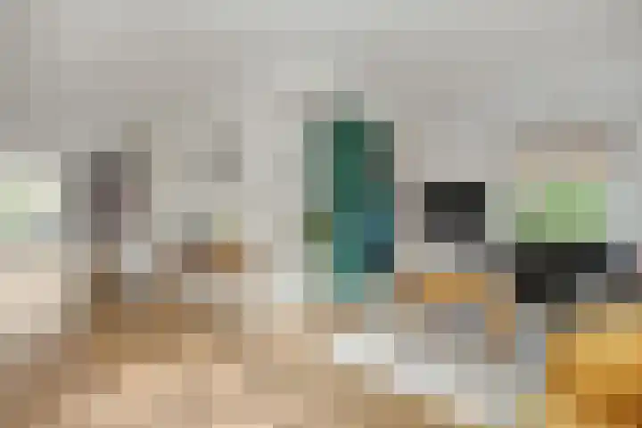 De Meerkoet 4 Sint-Michielsgestel thumbnail 5