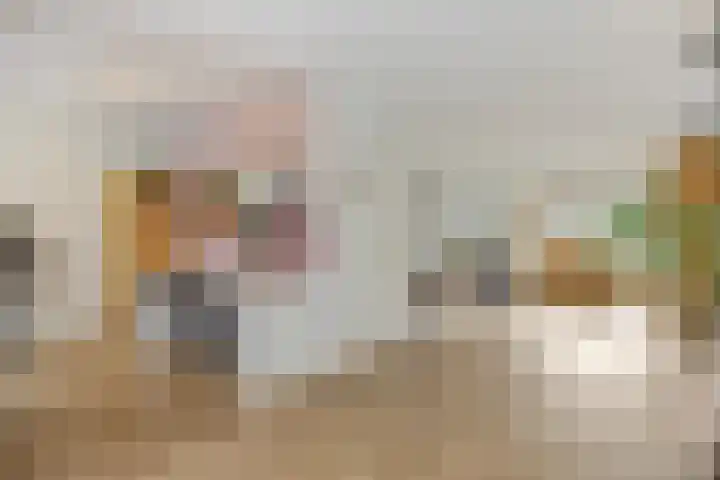 De Meerkoet 4 Sint-Michielsgestel thumbnail 7