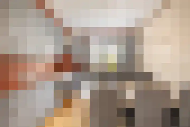 De Meerkoet 7 Zevenhuizen thumbnail 10