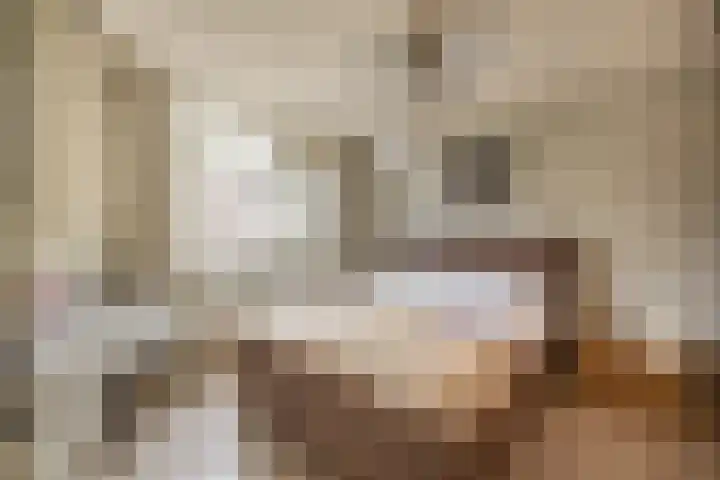 De Meerkoet 7 Zevenhuizen thumbnail 12