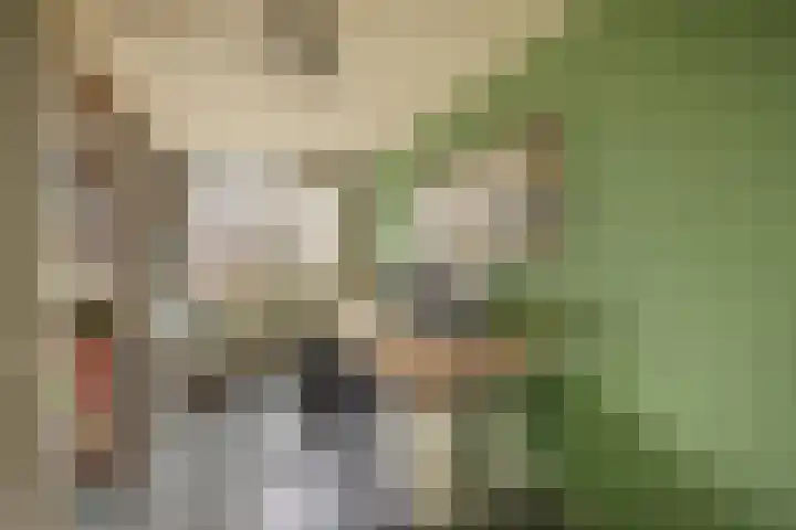 De Meerkoet 7 Zevenhuizen thumbnail 15