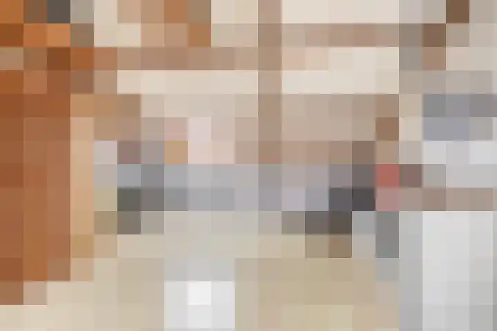 De Meerkoet 7 Zevenhuizen thumbnail 20