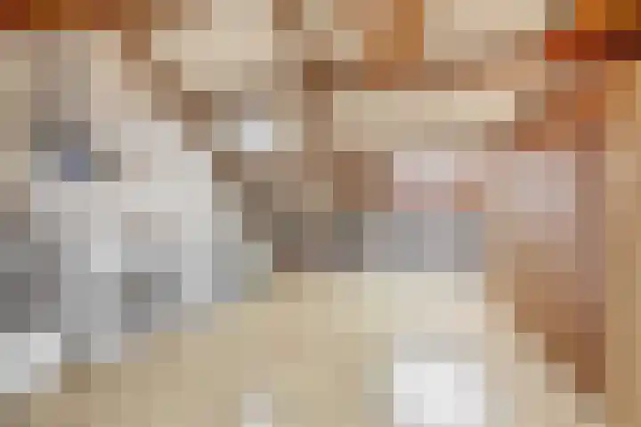 De Meerkoet 7 Zevenhuizen thumbnail 21