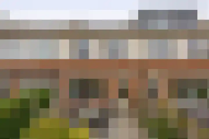De Meerkoet 7 Zevenhuizen thumbnail 22