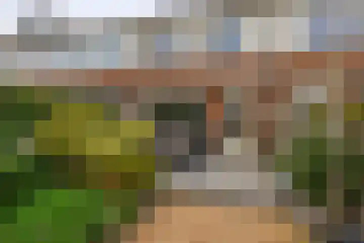 De Meerkoet 7 Zevenhuizen thumbnail 23