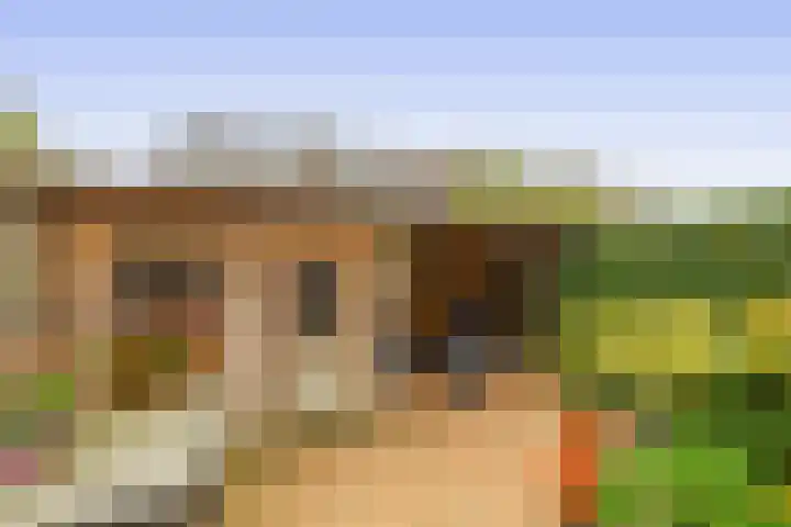 De Meerkoet 7 Zevenhuizen thumbnail 24