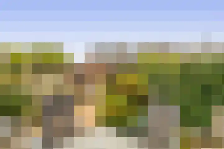 De Meerkoet 7 Zevenhuizen thumbnail 25
