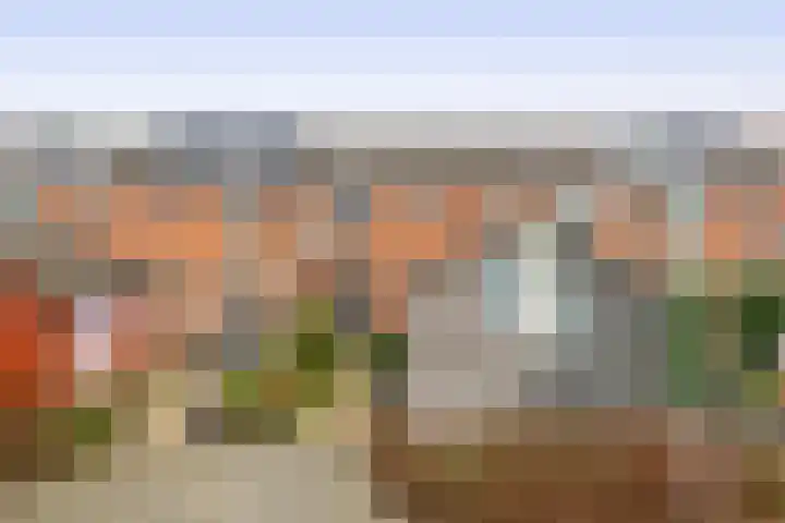 De Meerkoet 7 Zevenhuizen thumbnail 26