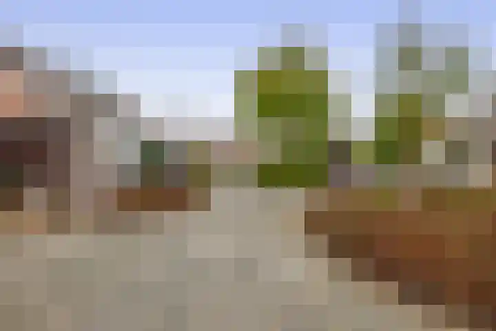 De Meerkoet 7 Zevenhuizen thumbnail 27