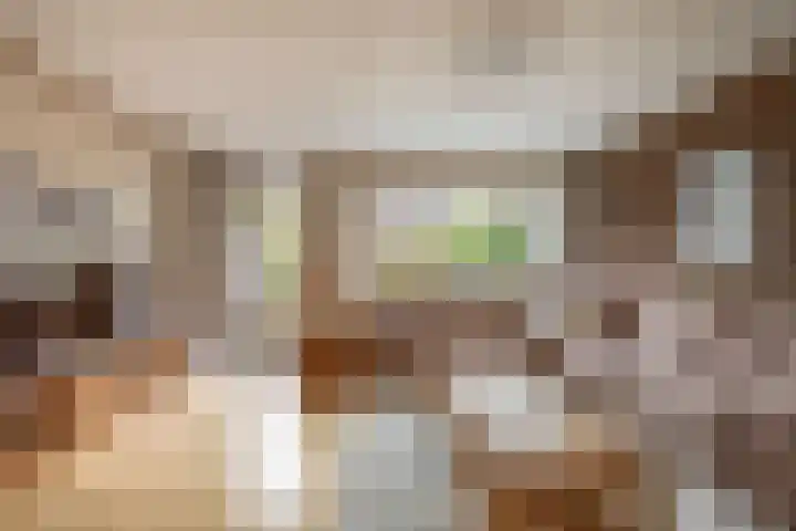 De Meerkoet 7 Zevenhuizen thumbnail 7