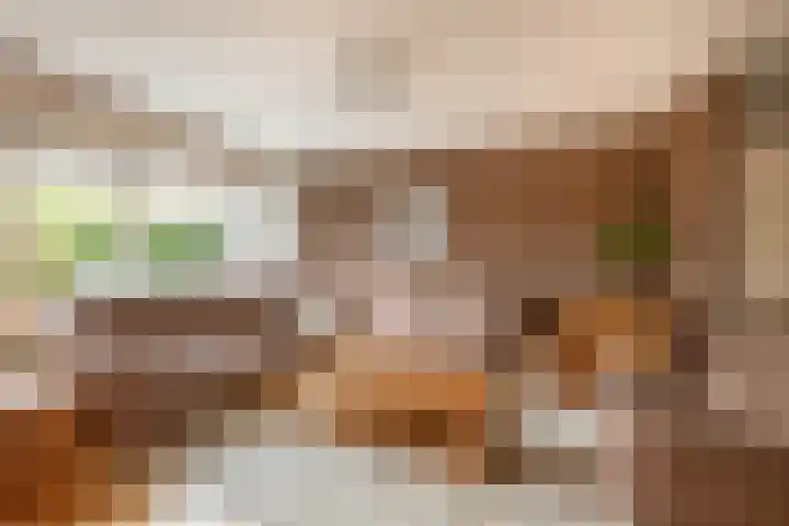 De Meerkoet 7 Zevenhuizen thumbnail 8