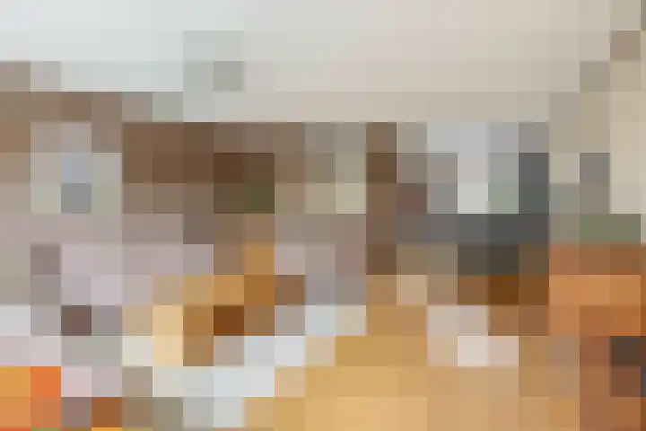 De Meerkoet 7 Zevenhuizen thumbnail 9