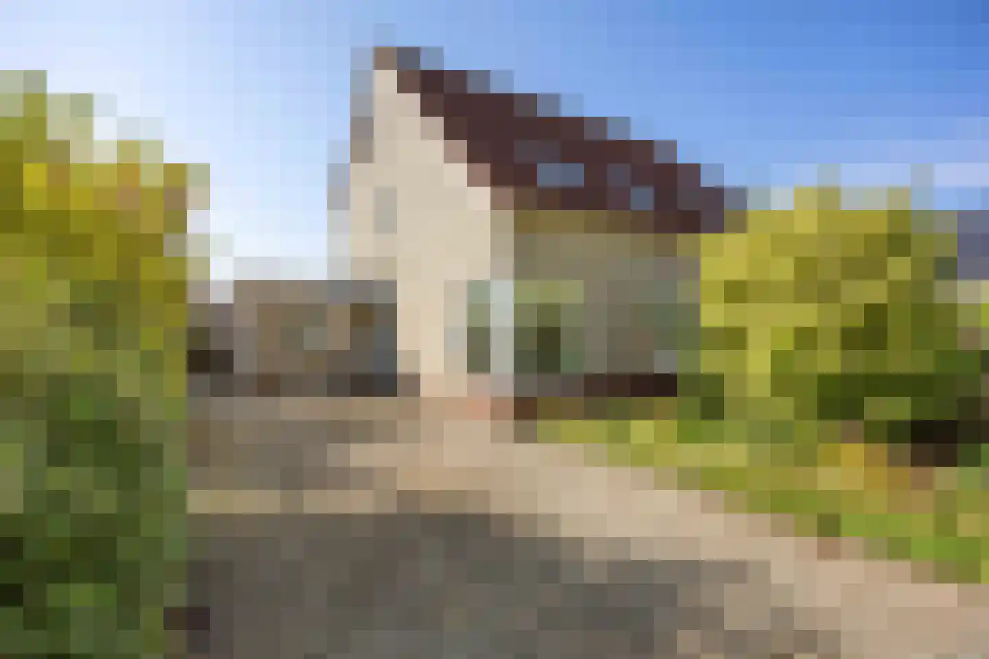 De Meerkoet 8 Harlingen thumbnail 10