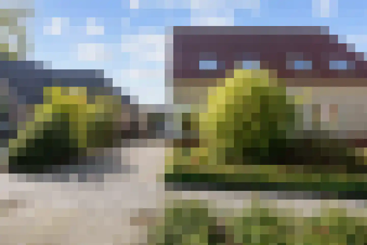 De Meerkoet 8 Harlingen thumbnail 11