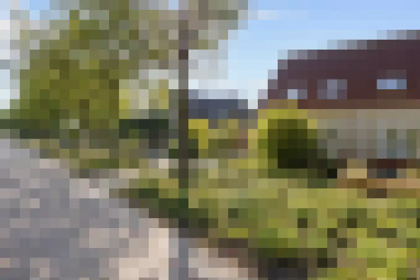 De Meerkoet 8 Harlingen thumbnail 12