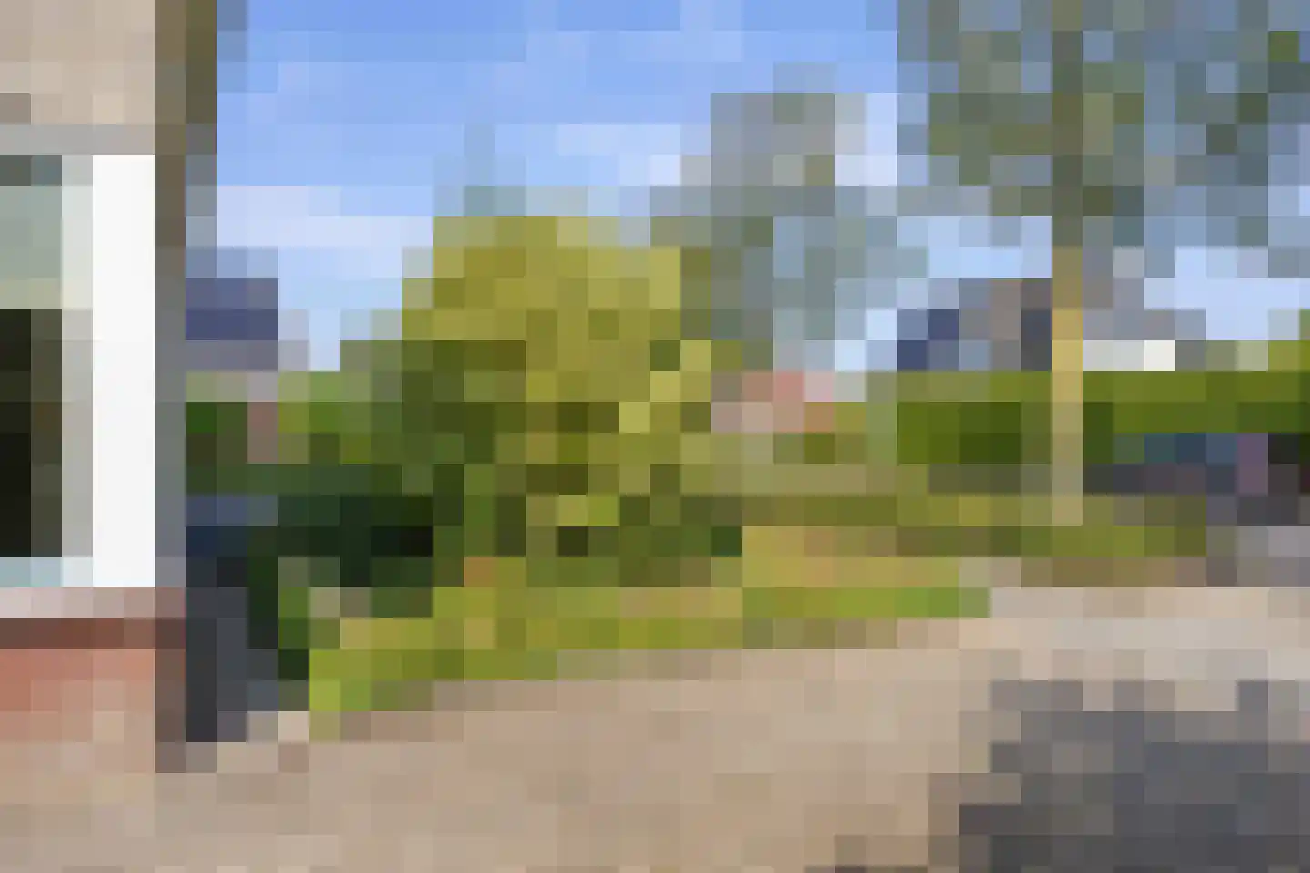 De Meerkoet 8 Harlingen thumbnail 13