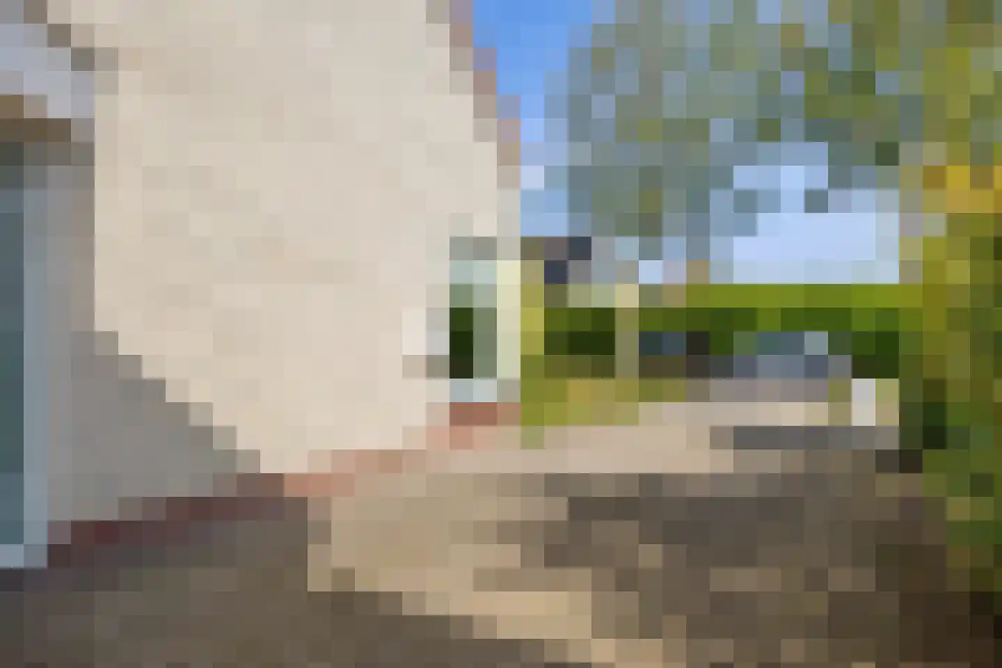 De Meerkoet 8 Harlingen thumbnail 15