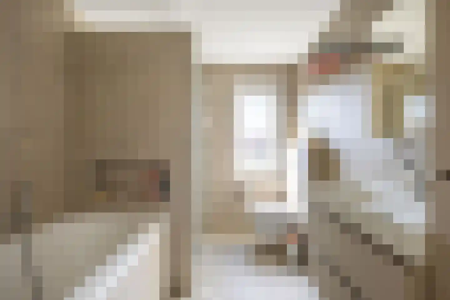De Meerkoet 8 Harlingen thumbnail 6
