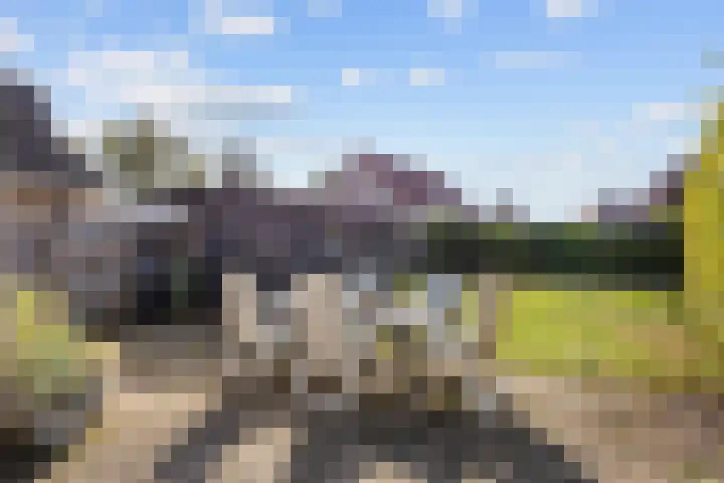 De Meerkoet 8 Harlingen thumbnail 7