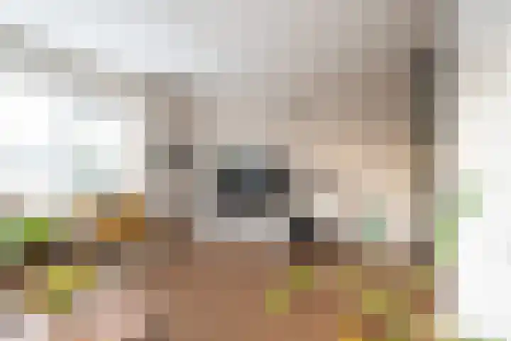 De Meerpaal 2 Apeldoorn thumbnail 12