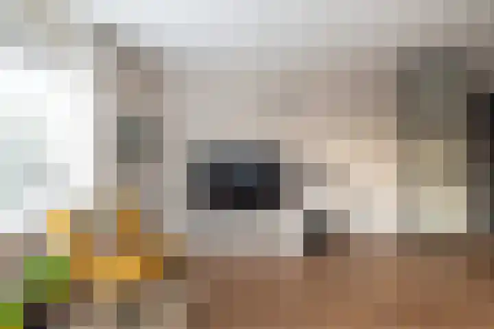De Meerpaal 2 Apeldoorn thumbnail 13