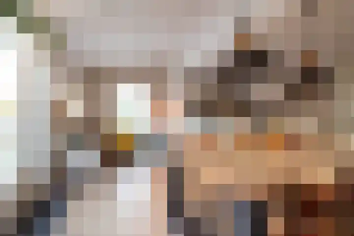 De Meerpaal 2 Apeldoorn thumbnail 20