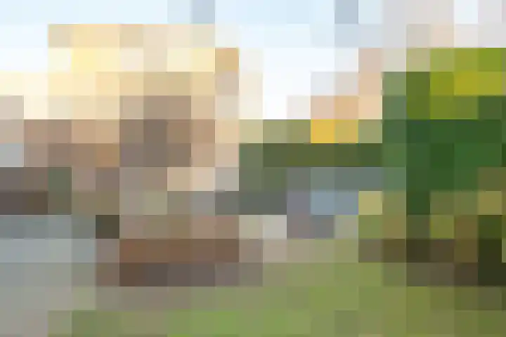 De Meerpaal 2 Apeldoorn thumbnail 26