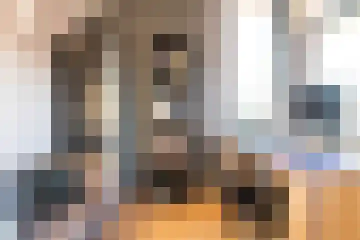 De Meerpaal 2 Apeldoorn thumbnail 38