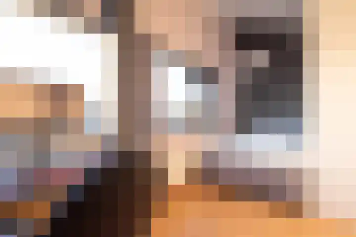 De Meerpaal 2 Apeldoorn thumbnail 39