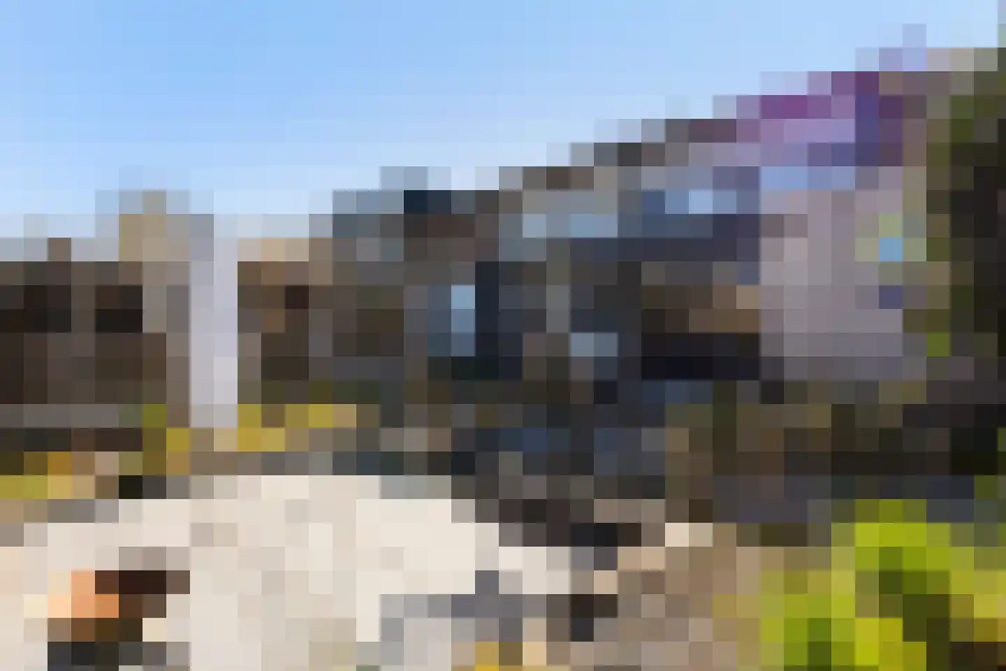 De Meerpaal 8 Apeldoorn thumbnail 16