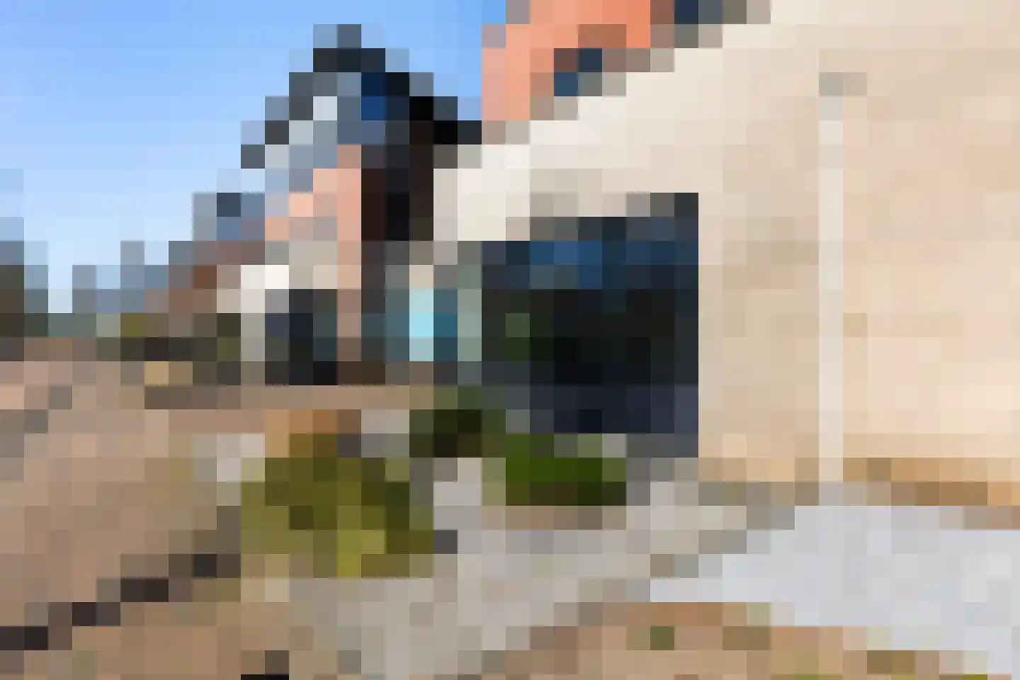 De Meerpaal 8 Apeldoorn thumbnail 29