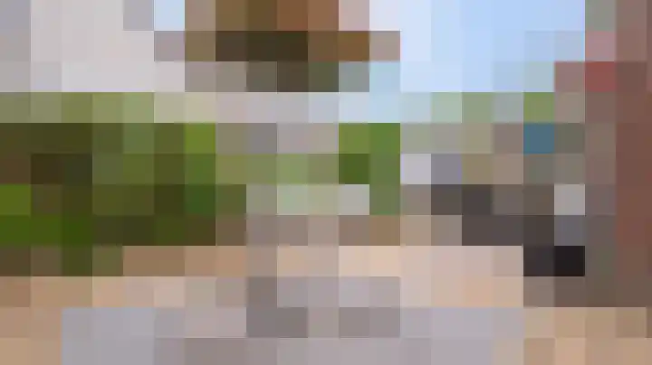 De Mees 4 Almelo thumbnail 30