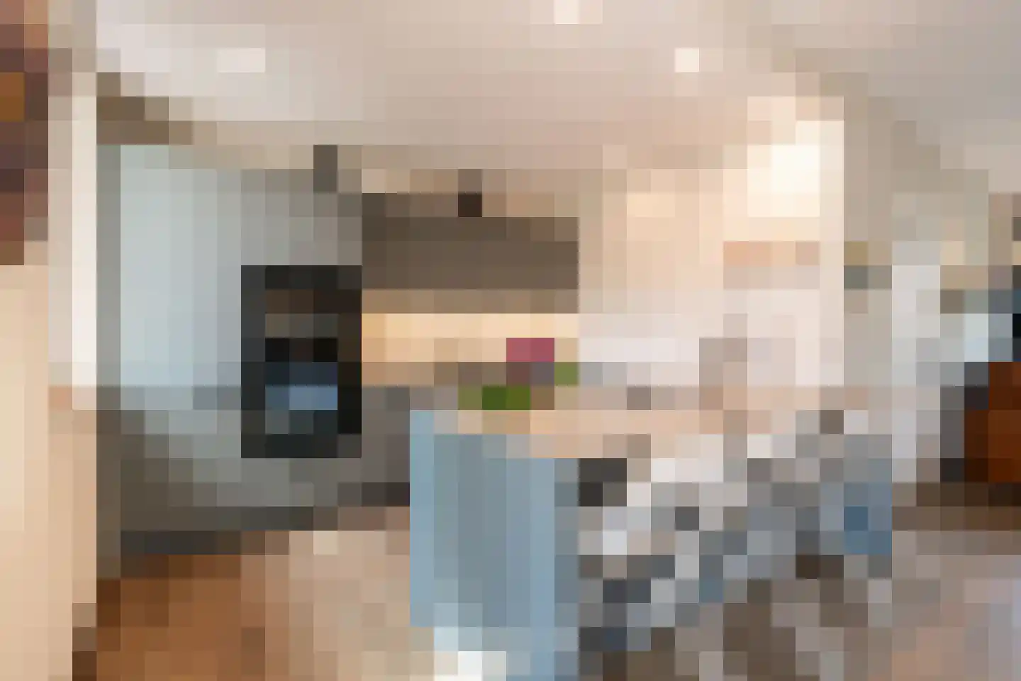 De Meesterstraat 29 Oss thumbnail 13