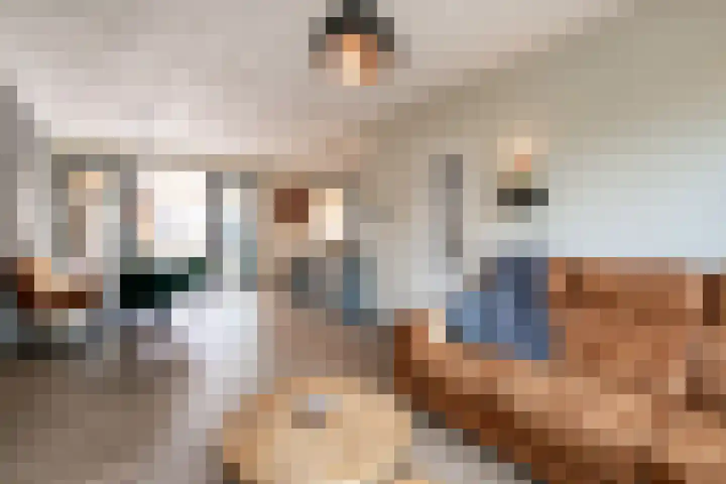 De Meesterstraat 29 Oss foto 2