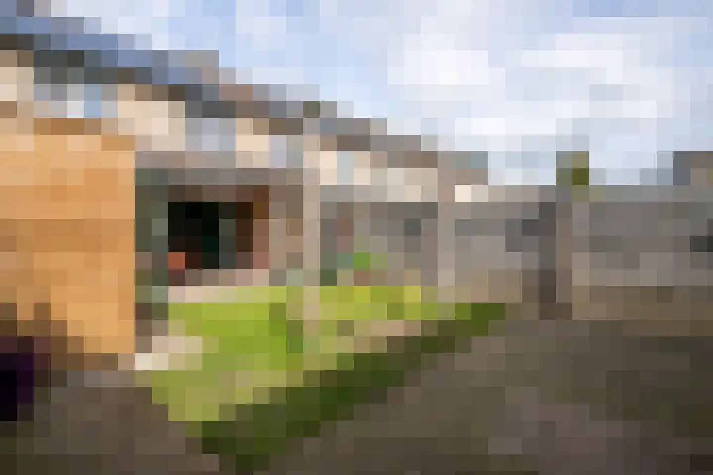De Meesterstraat 29 Oss thumbnail 21