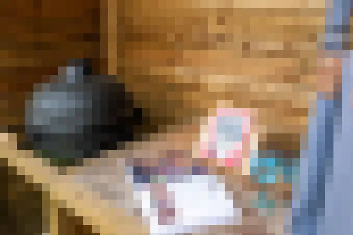 De Meesterstraat 29 Oss thumbnail 24