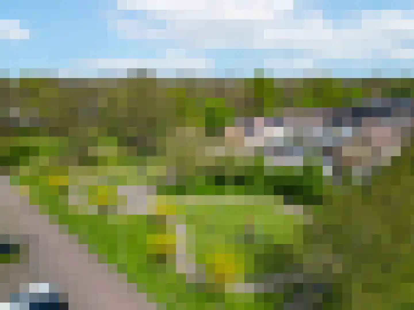 De Meesterstraat 29 Oss thumbnail 27