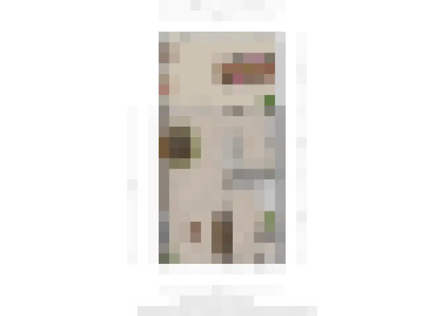 De Meesterstraat 29 Oss thumbnail 30