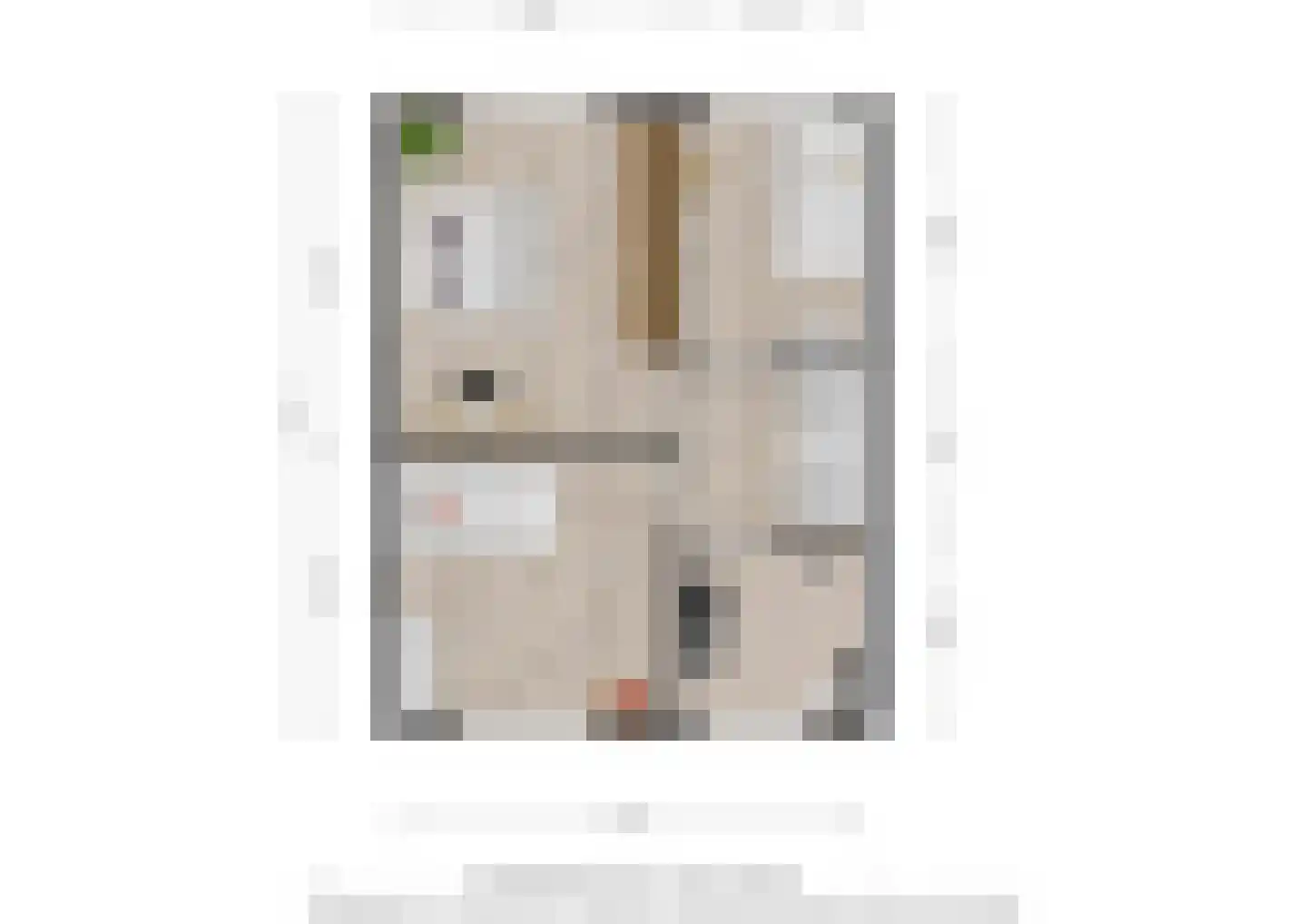 De Meesterstraat 29 Oss thumbnail 31