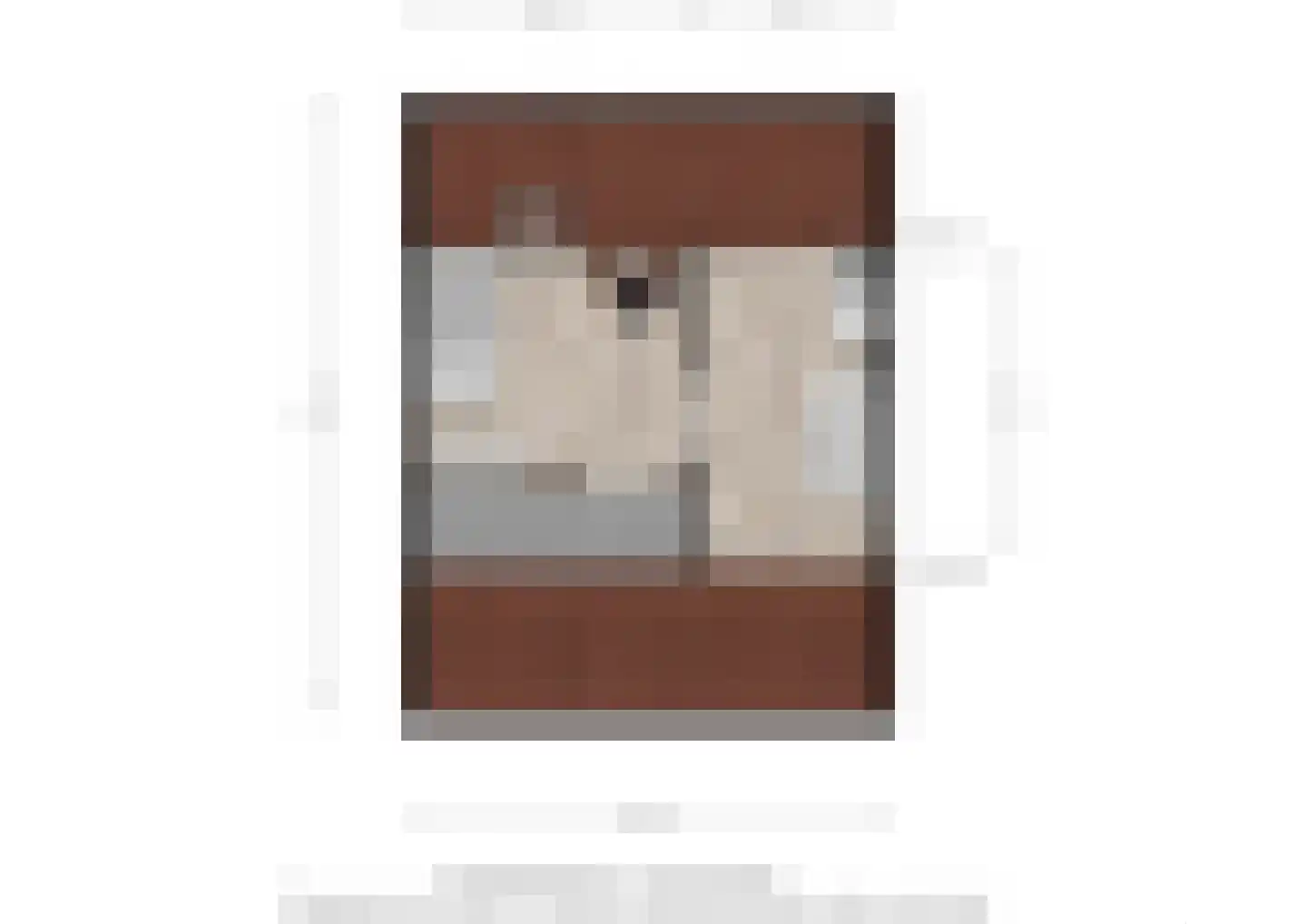 De Meesterstraat 29 Oss thumbnail 32