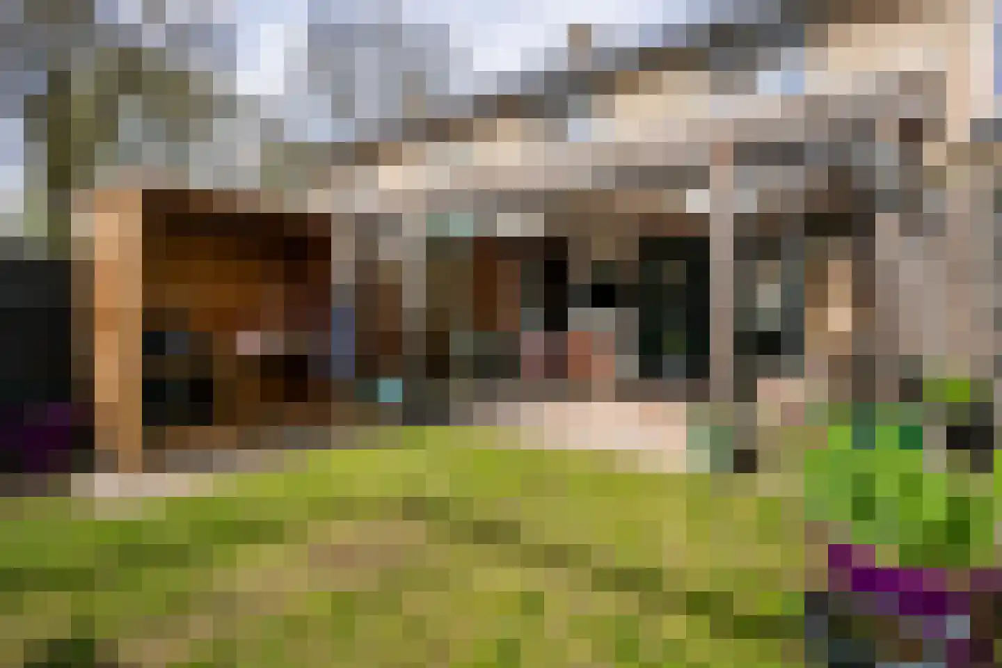 De Meesterstraat 29 Oss thumbnail 4